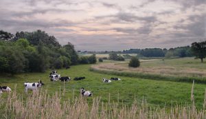 Evidencing rural need: Parish Profile Reports