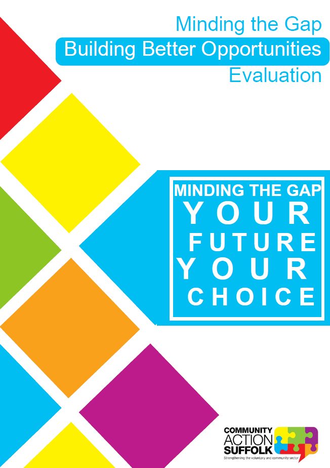 Front cover image of the Minding the Gap Evaluation 